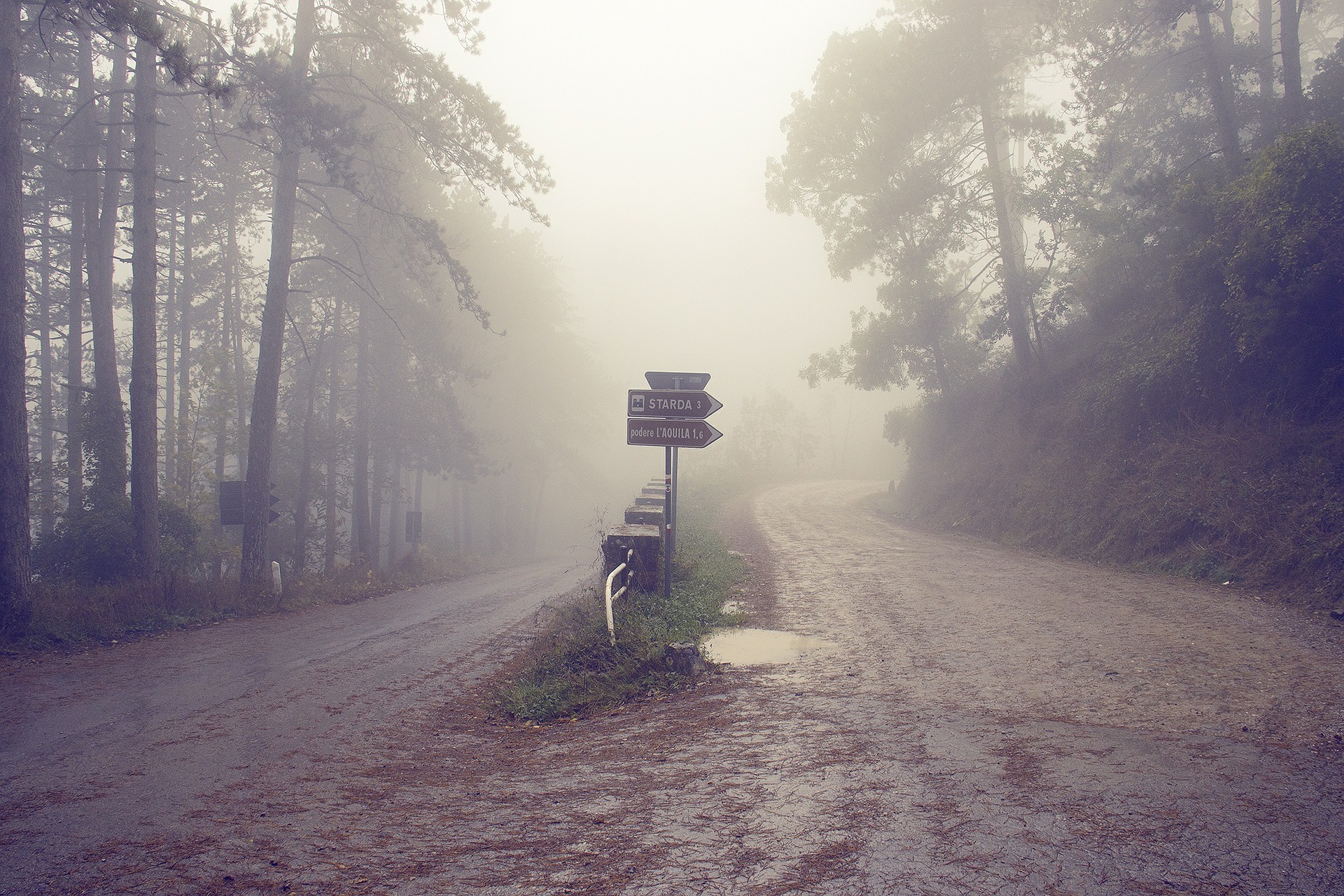 Legal Alert - Waiver Appeals: Board’s Jurisdiction in Dilemma!
